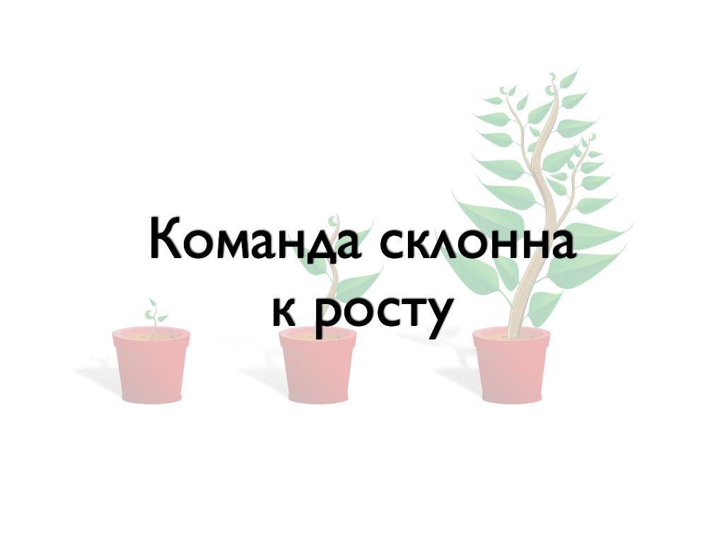 Команда склонна к росту